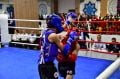 Muay Thai Malzemeleri